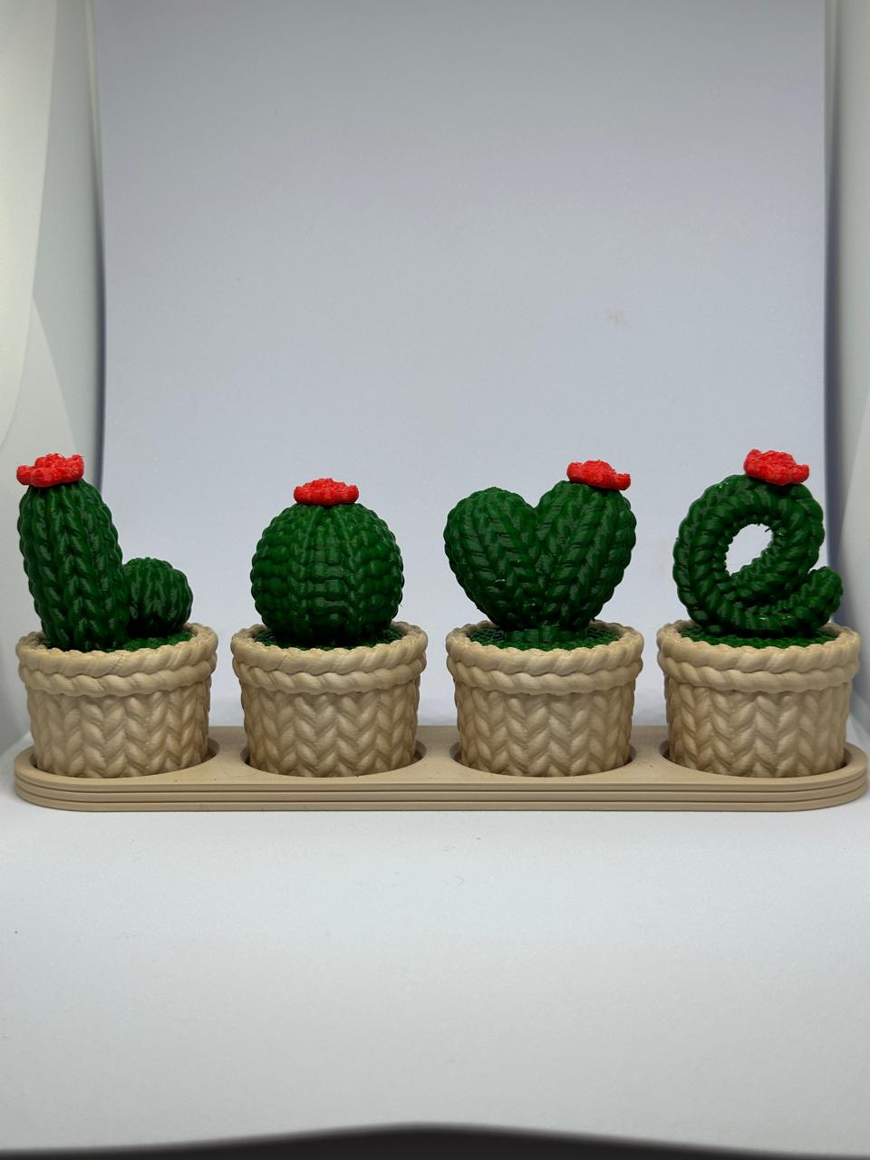 Cactos LOVE Kit c/ 4